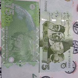 PAKISTAN BILLETE CONMEMORATIVO 75 RUPIAS